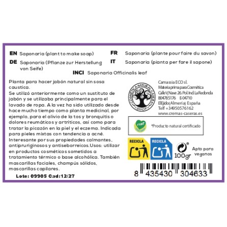 Saponaria (planta para hacer jabón)