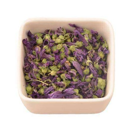 malva ( malva sylvestris )