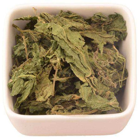 Ortiga BIO ( urtica Dioica )