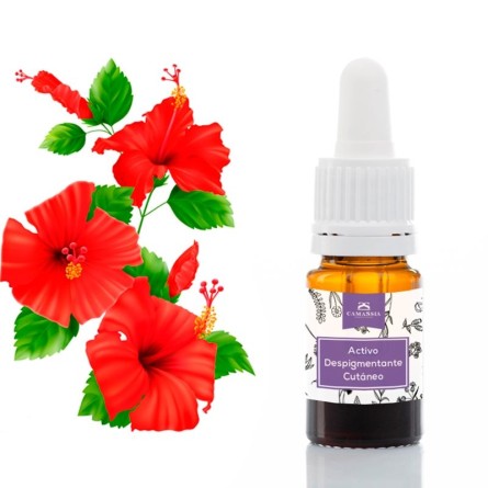 Activo Despigmentante Cutáneo