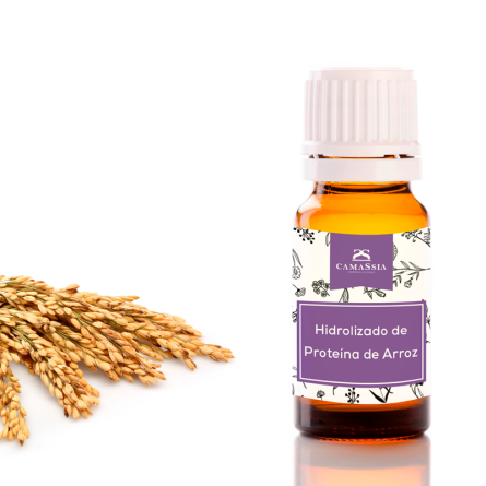 Hidrolizado de Proteína de Arroz