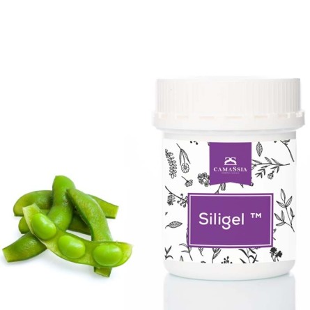 Siligel TM