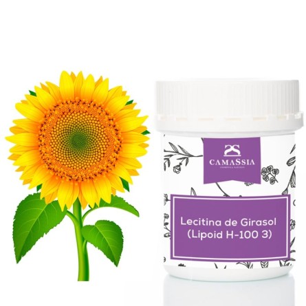 Lecitina de Girasol (Lipoid H-100 3)