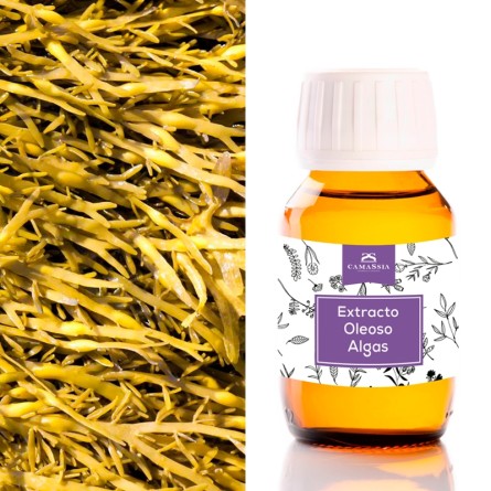 Aceite de algas