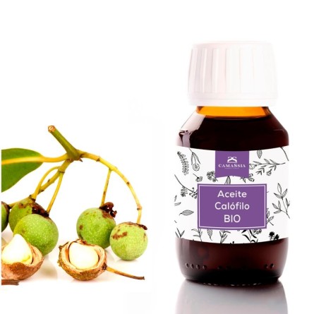 aceite de calofilo tamanu virgen bio