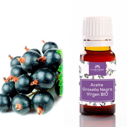Aceite virgen de Grosella negra ecologico