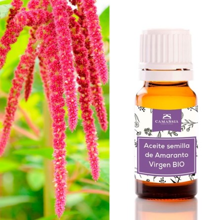 Aceite de semilla de amaranto BIO