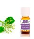 aceite esencial de canela hojas 