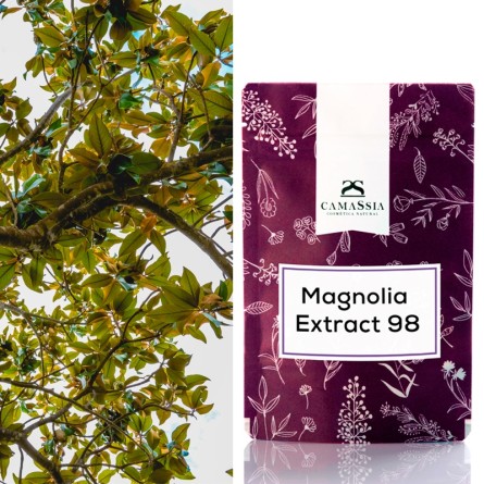 Magnolia Extract 98