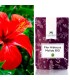Flor de Hibiscus BIO molida (Polvo de Hibisco) 50gr