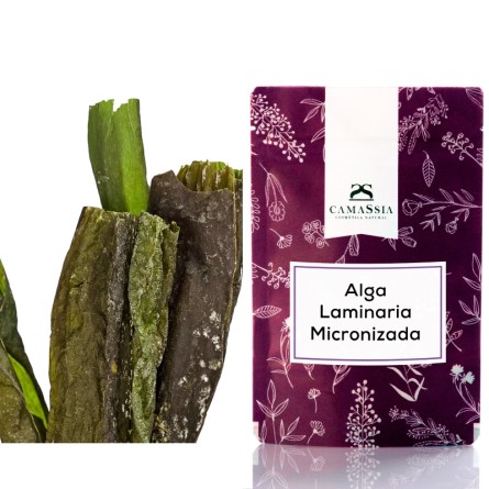 alga kelp laminaria micronizada