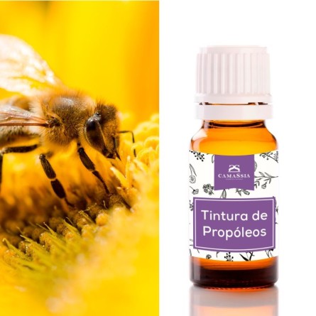 tintura de propoleos