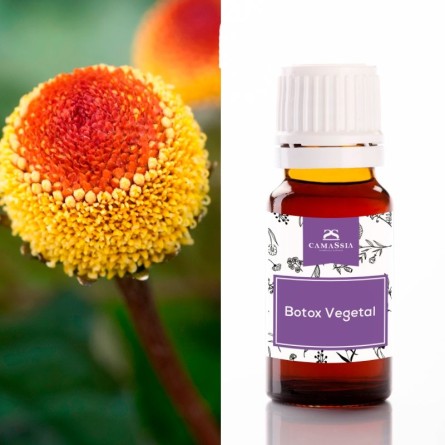 Principio activo "Botox vegetal"