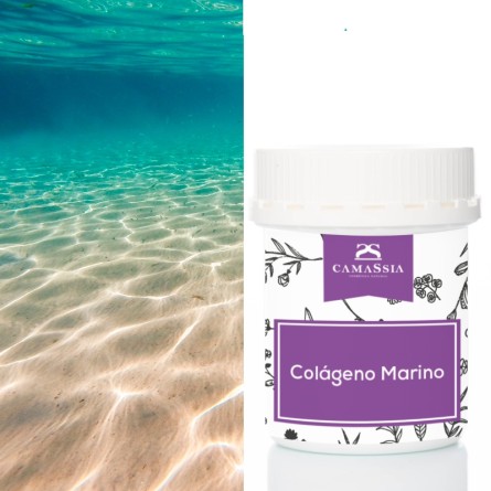 colageno marino