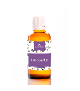 Fucocert® (Biosaccharide Gum-1)