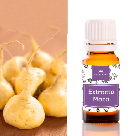 extracto de maca