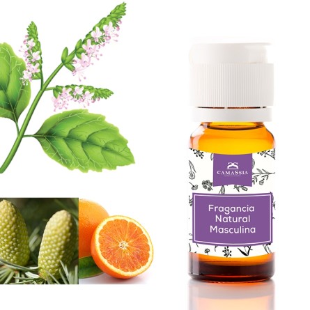 Fragancia natural "masculina"
