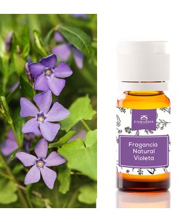Fragancia natural Violeta