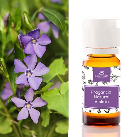 Fragancia natural Violeta