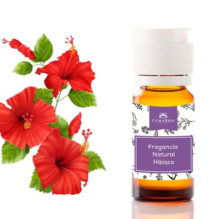 Fragancia natural Hibisco