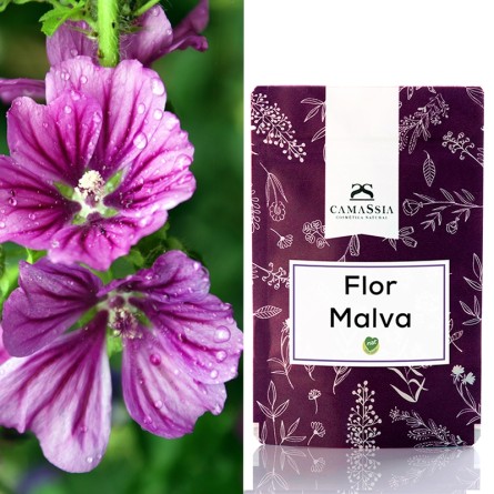 malva ( malva sylvestris )