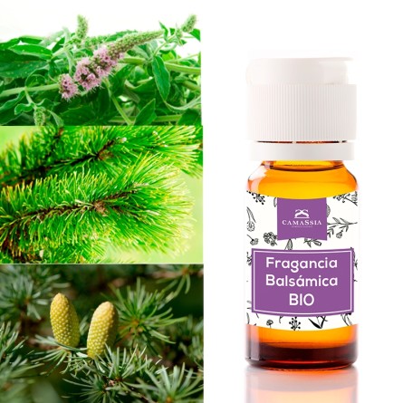 Fragancia Balsámica Bio
