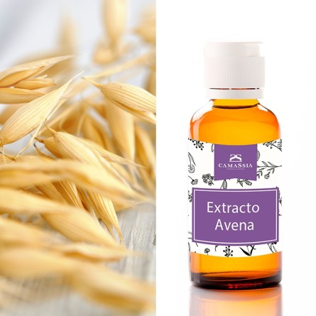 extracto de avena