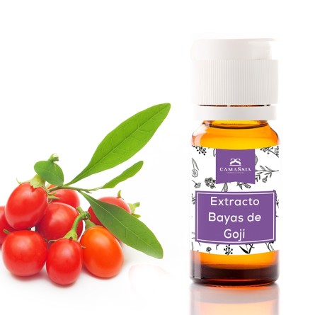 extracto de bayas de goji