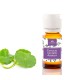 extracto centella asiatica