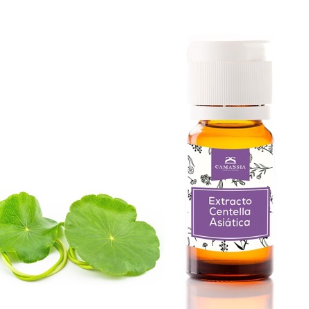 extracto centella asiatica