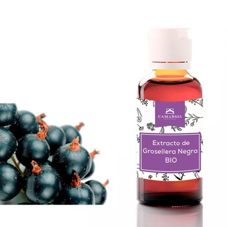 Extracto de Hoja de Grosellera Negra BIO