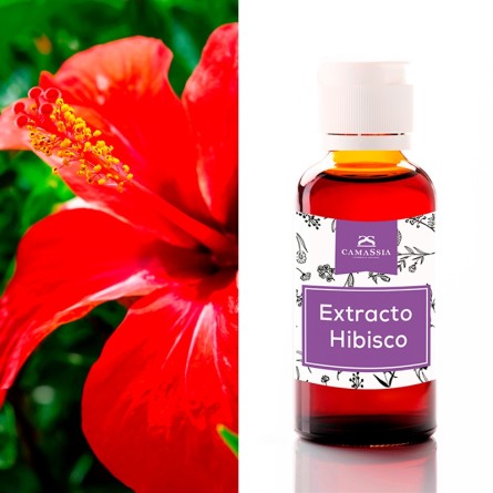 Extracto de Hibisco