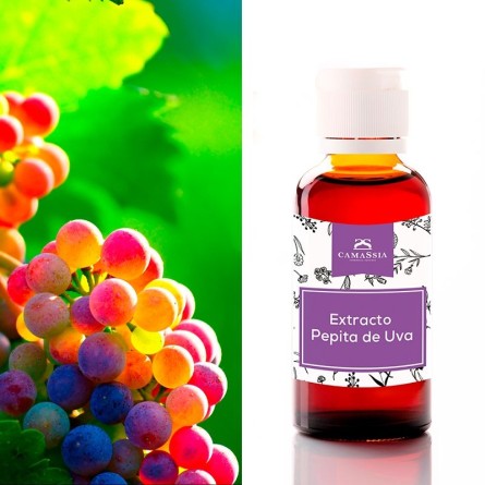 Extracto de Pepita de Uva