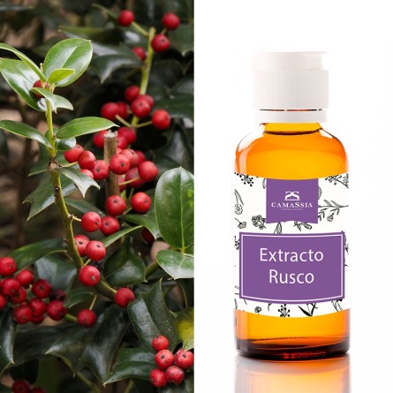 Extracto de Rusco