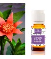 Extracto de flor de granada
