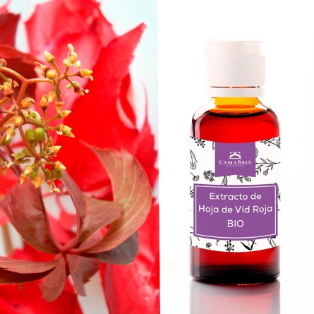 Extracto de Hoja de Vid Roja BIO
