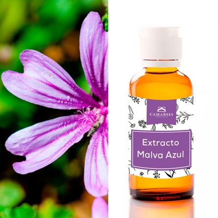 Extracto de malva