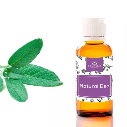 natural deo hacer desodorantes caseros