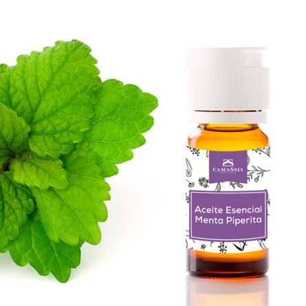 Aceite esencial menta piperita
