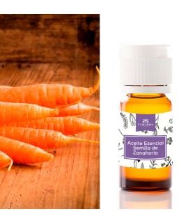 Aceite esencial semilla de zanahoria