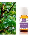 Aceite esencial alcanfor