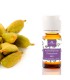 aceite esencial cardamomo bio