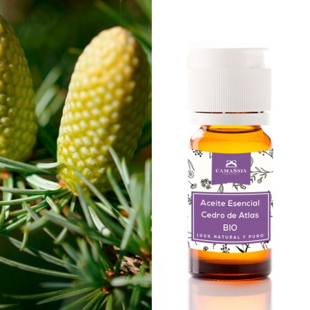 aceite esencial cedro de atlas ecologico