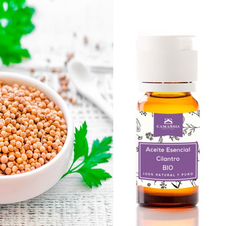 aceite esencial cilantro bio
