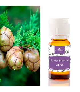 Aceite esencial ciprés (Cupressus sempervirens)