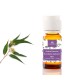 Aceite esencial eucalipto (Eucalyptus globulus) BIO