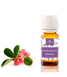 Aceite esencial gaulteria (Wintergreen)