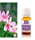 aceite esencial geranio