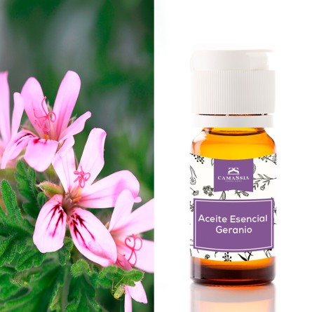 aceite esencial geranio