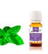 Aceite esencial Hierbabuena BIO